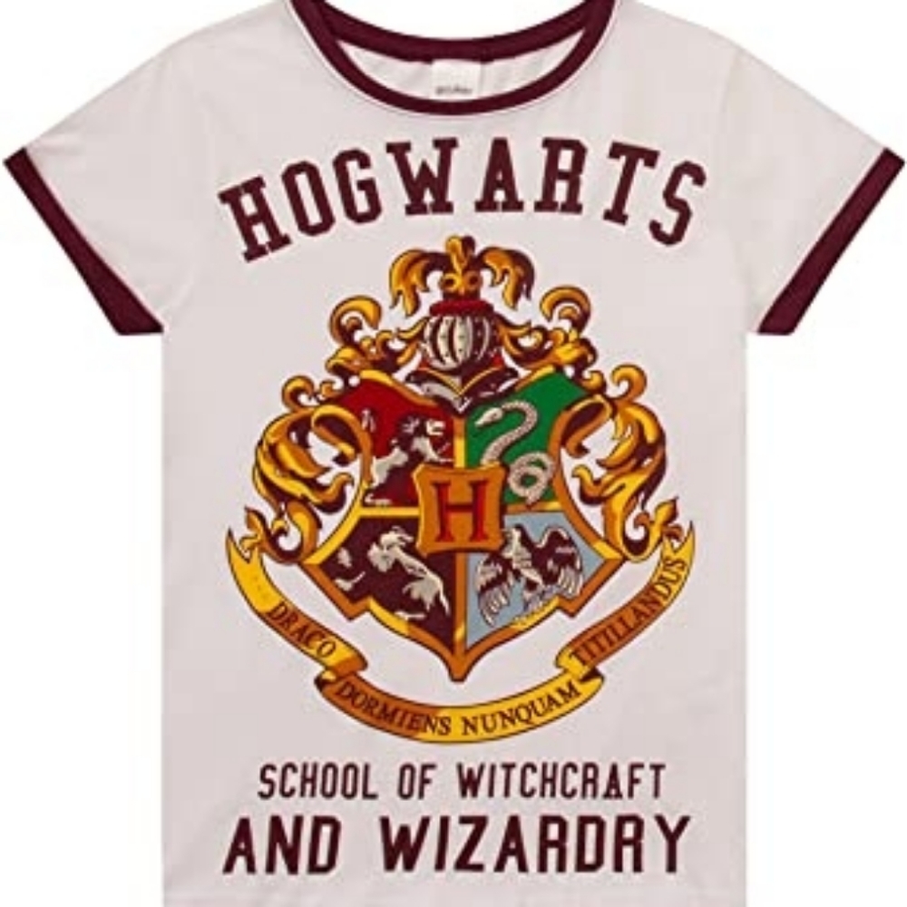 Harry Potter Hogwarts Witchcraft Wizardry T-Shirt - Picture 1 of 12
